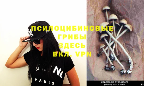 кокаин колумбия Ладушкин