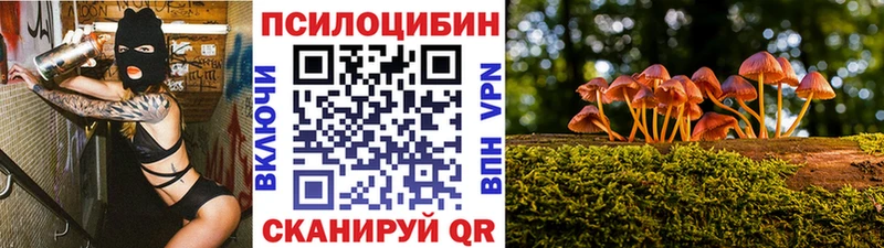 Купить  Отрадный  Псилоцибиновые грибы Psilocybine cubensis 